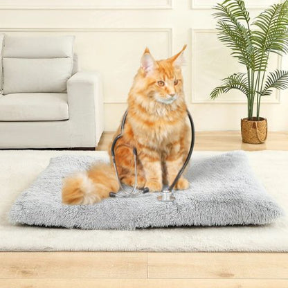 Tapis chauffant pour chat - COUVERTURACHAT™ - CHATS