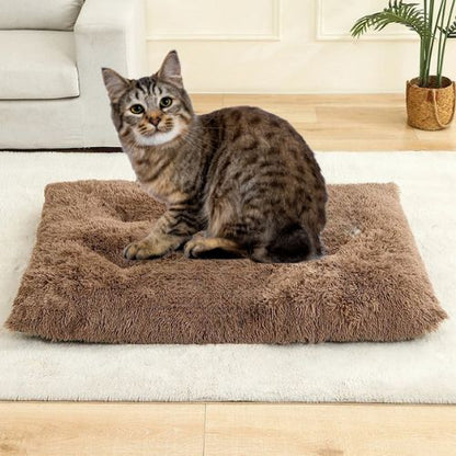 Tapis chauffant pour chat - COUVERTURACHAT™ - CHATS
