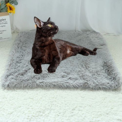 Tapis chauffant pour chat - COUVERTURACHAT™ - CHATS