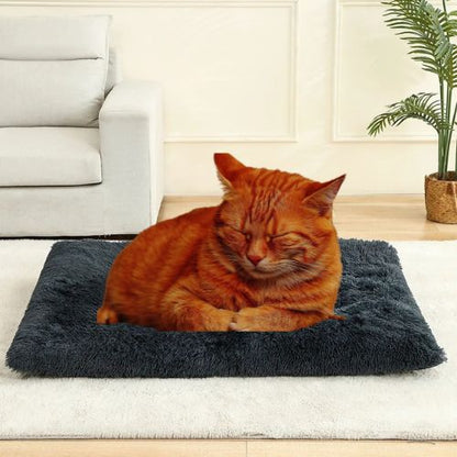 Tapis chauffant pour chat - COUVERTURACHAT™ - CHATS