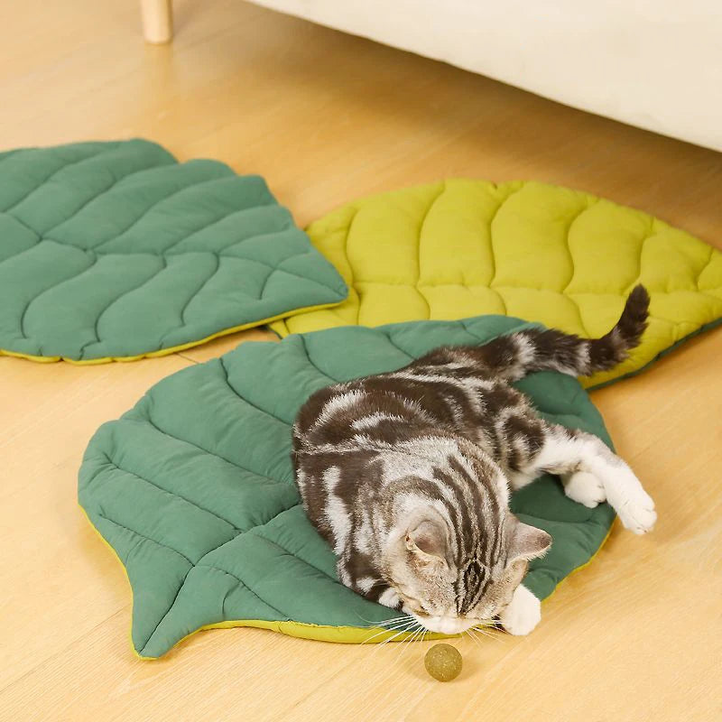 Tapis chauffant pour chat - Confort douillet pour votre félin