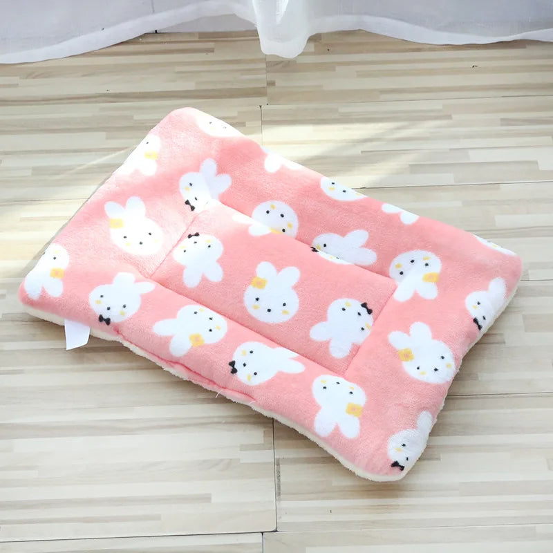 Tapis chauffant pour chat - Transformez votre quotidien
