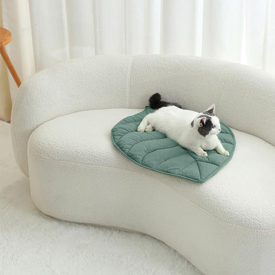 Tapis chauffant pour chat, - Un allié pour votre intérieur