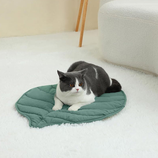 Tapis chauffant pour chat - Vert