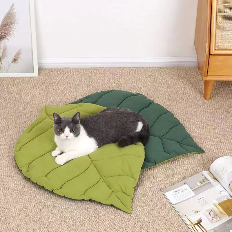 Tapis chauffant pour chat &nbsp;La chaleur réconfortante qui transforme l'humeur de votre félin
