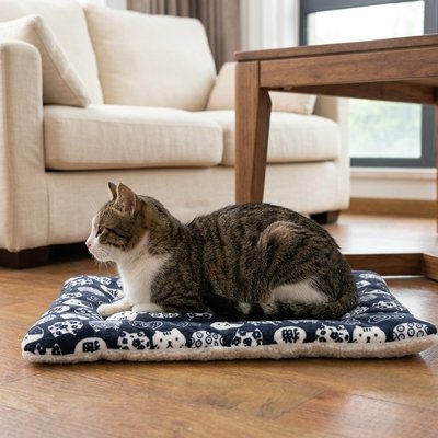 Tapis chauffant pour chaton - Votre chat respire un air plus sain