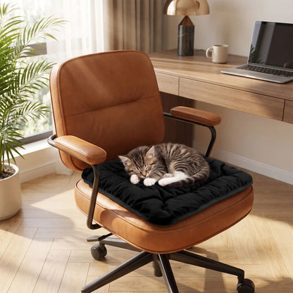Tapis chauffant pour chaton - Un investissement dans la santé et le bonheur de votre félin