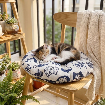 Tapis chauffant pour chaton - Un cocon qui grandit avec votre chat