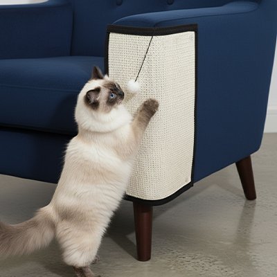 Tapis griffoir pour chat - Protection élégante de vos meubles