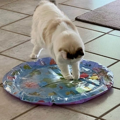 Tapis rafraichissant chat - Fini les poils partout 