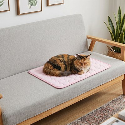 Tapis rafraichissant chat - Une technologie textile pensée