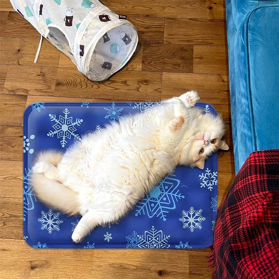 Tapis rafraichissant chat - Refuge frais disponible à tout moment pour votre chat