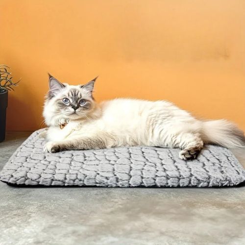 Tapis vhauffant chat - Pourquoi choisir un tapis chauffant chat auto-régulé