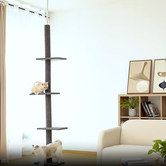 Un arbre à chat -Complet pour le bien-être félin