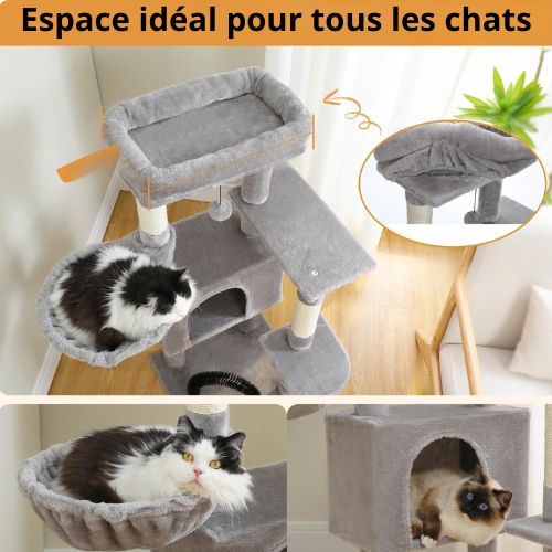 Arbre à chat - ARBRACHAT™ - CHATS