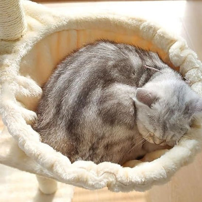 Arbre à chat - ARBRACHATHAMAC™ - CHATS