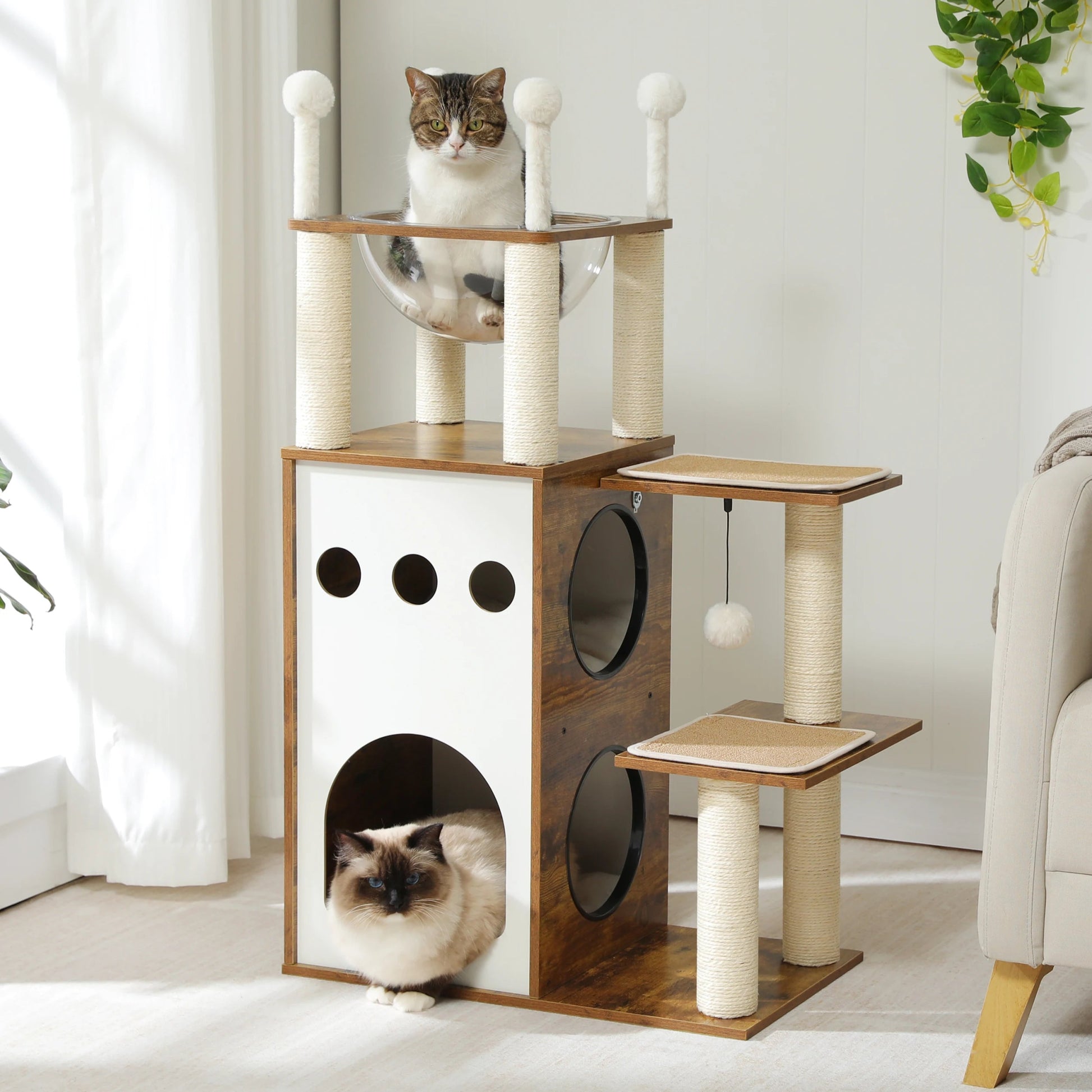 Arbre à chat - ARBREMODERNEPOURCHAT™ - CHATS