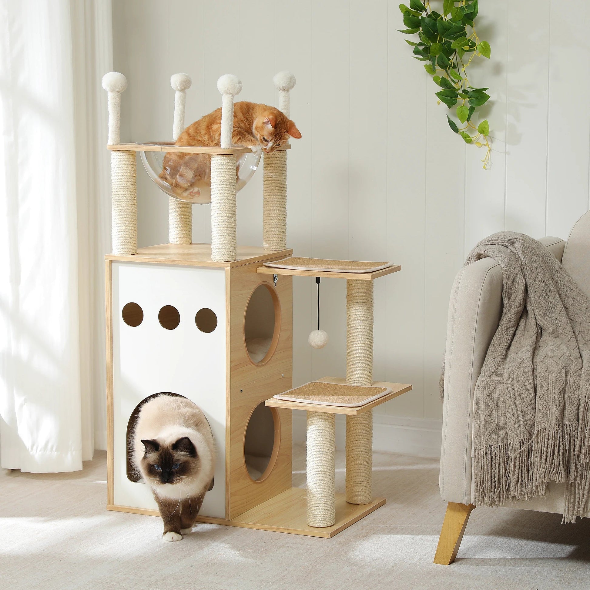 Arbre à chat - ARBREMODERNEPOURCHAT™ - CHATS
