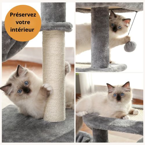 Arbre à chat bois - PETITARBRACHAT™ - CHATS