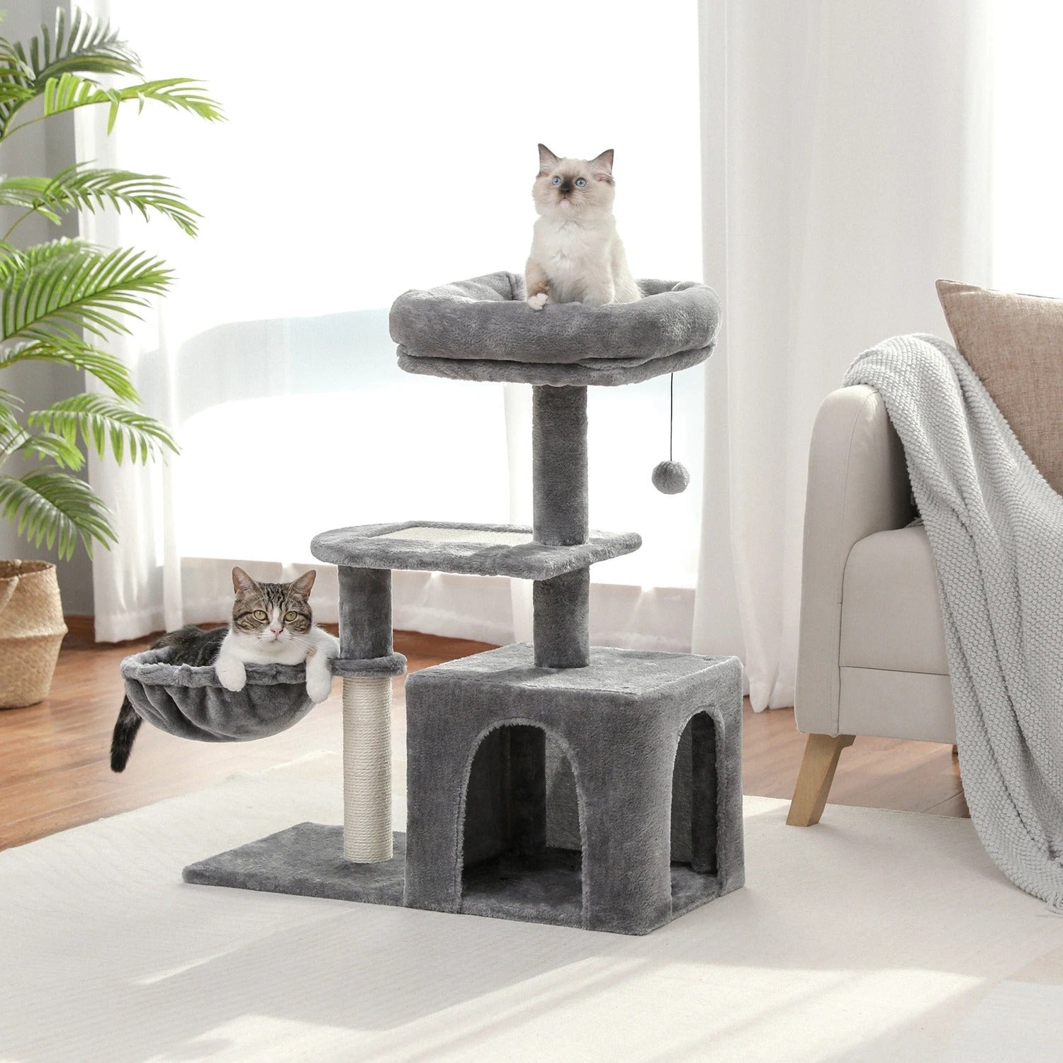 Arbre à chat bois - PETITARBRACHAT™ - CHATS