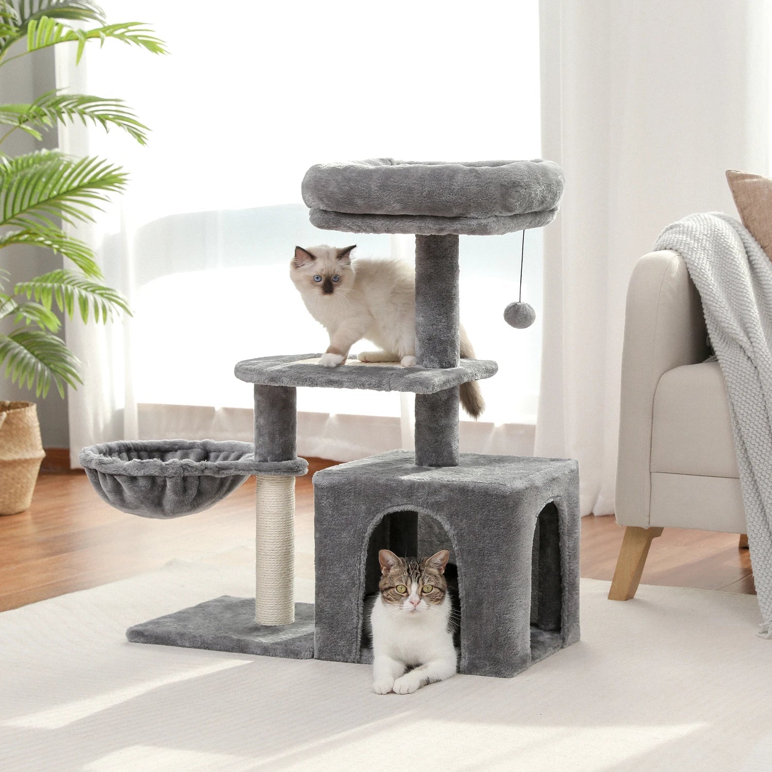Arbre à chat bois - PETITARBRACHAT™ - CHATS