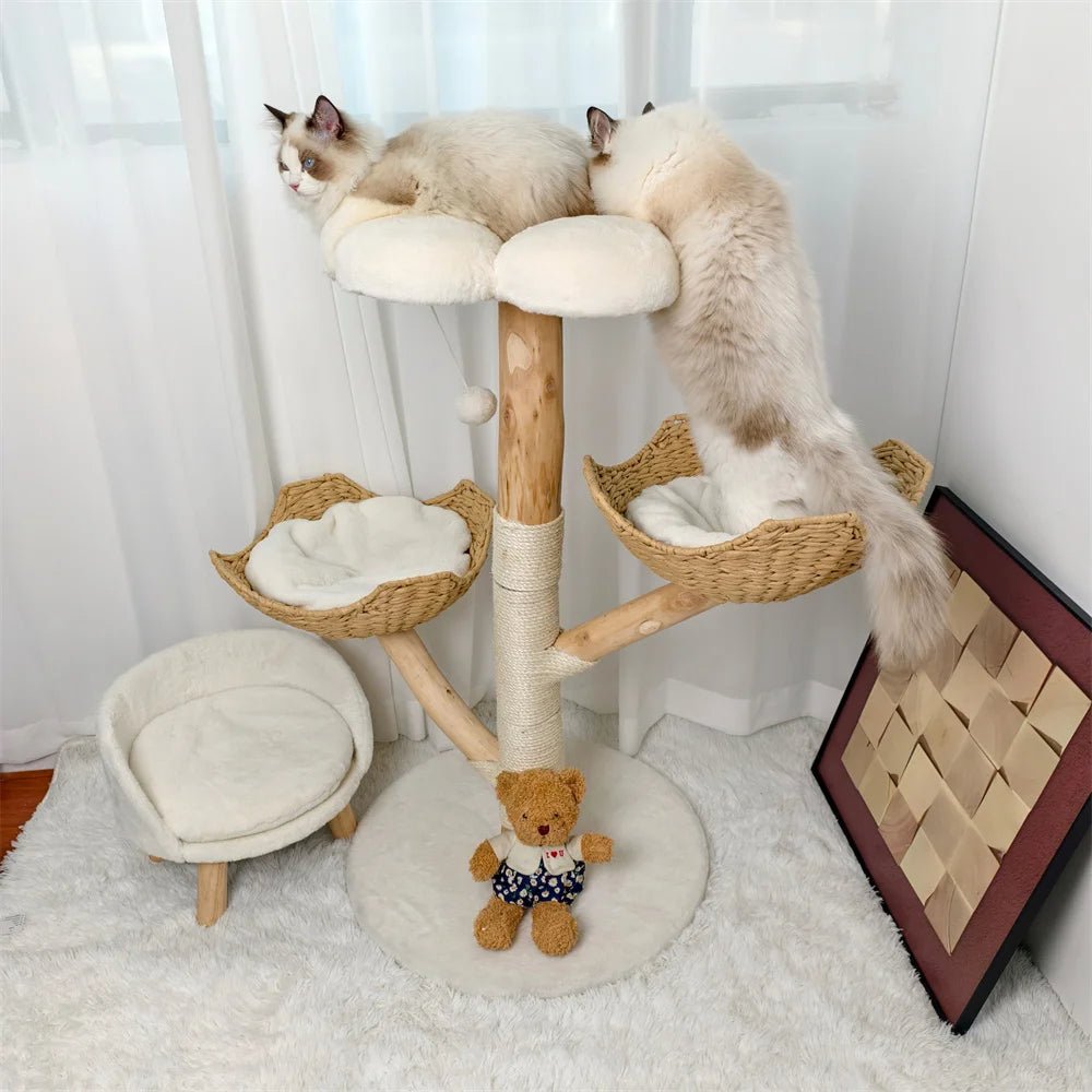 Arbre à chat - BOISDESAULEPOURCHAT™ - CHATS