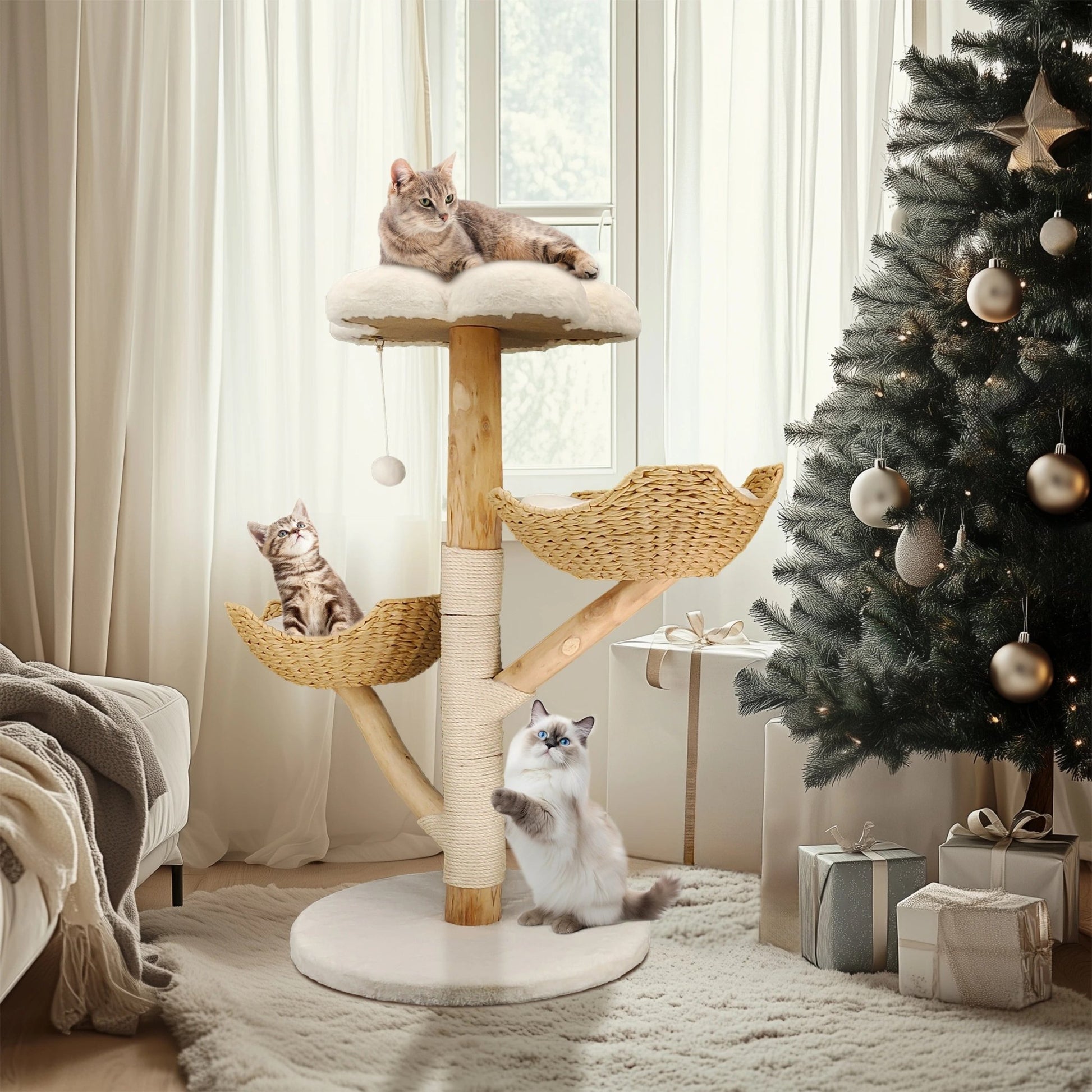 Arbre à chat - BOISDESAULEPOURCHAT™ - CHATS