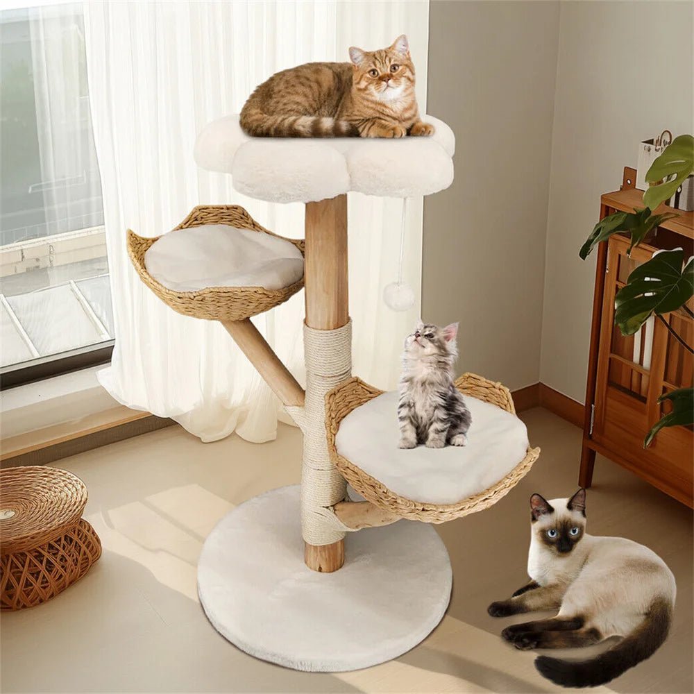 Arbre à chat - BOISDESAULEPOURCHAT™ - CHATS