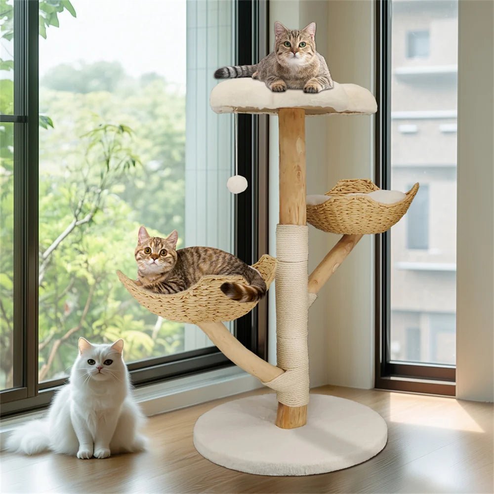 Arbre à chat - BOISDESAULEPOURCHAT™ - CHATS