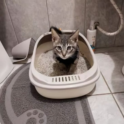 Bac à litière pour chat - DINOSAUREPOURCHAT™ - CHATS