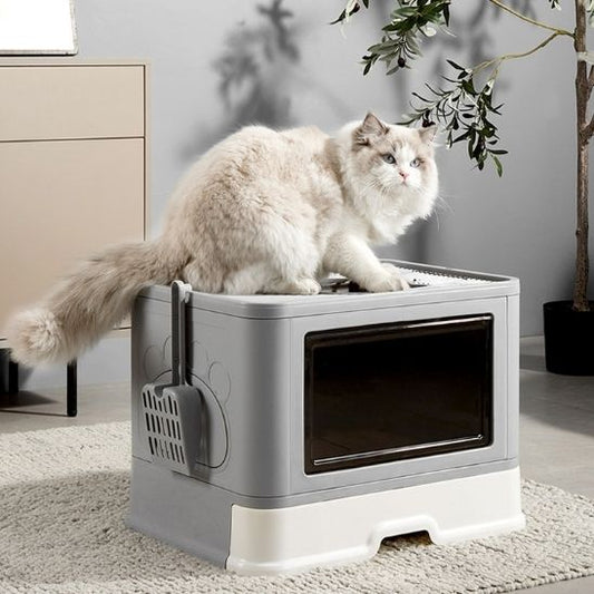 Bac litière chat - MAISONDETOILETTAGEPOURCHAT™ - CHATS
