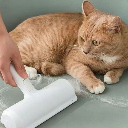 Brosse chat - EPILATEURPOILACHAT™ - CHATS