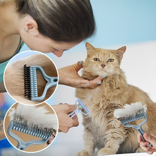 Brosse chat - RATEAUPOURCHAT™ - CHATS