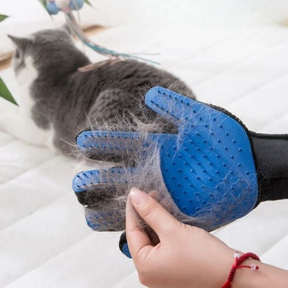 Brosse gant pour chat - GANTPOURCHAT™ - CHATS