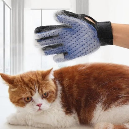 Brosse gant pour chat - GANTPOURCHAT™ - CHATS
