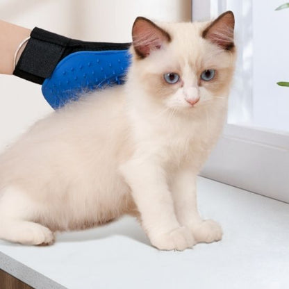 Brosse gant pour chat - GANTPOURCHAT™ - CHATS