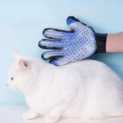 Brosse gant pour chat - GANTPOURCHAT™ - CHATS