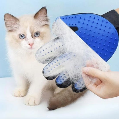 Brosse gant pour chat - GANTPOURCHAT™ - CHATS
