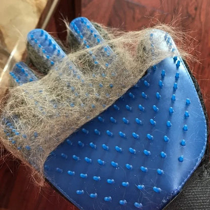 Brosse gant pour chat - GANTPOURCHAT™ - CHATS