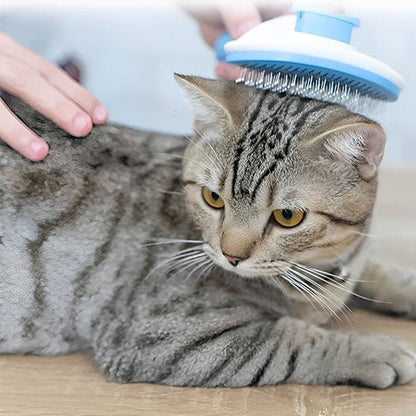 Brosse pour chat poil long - LONPOILACHAT™ - CHATS