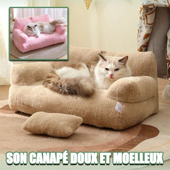 Canapé pour chat - CANAPECHAT™ - CHATS