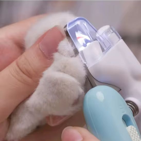 Coupe griffe chat - CISEAUPOURCHAT™ - CHATS