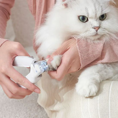 Coupe griffe chat - CISEAUPOURCHAT™ - CHATS