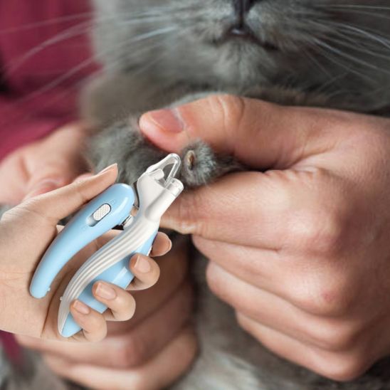 Coupe griffe chat - CISEAUPOURCHAT™ - CHATS