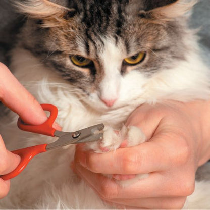 Coupe griffe chat - COUPACHAT™ - CHATS