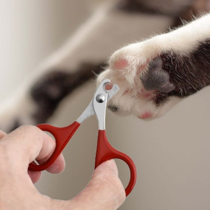 Coupe griffe chat - COUPACHAT™ - CHATS