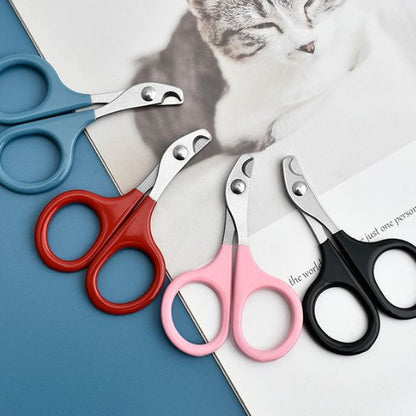 Coupe griffe chat - COUPACHAT™ - CHATS