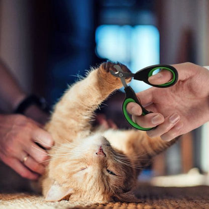 Coupe griffe pour chat - GRIFFACHAT™ - CHATS