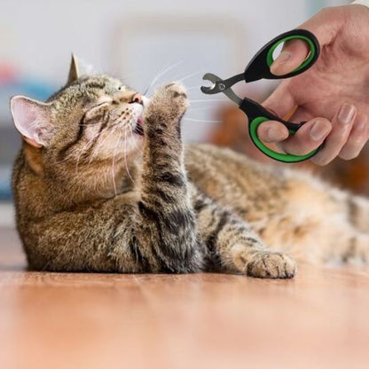 Coupe griffe pour chat - GRIFFACHAT™ - CHATS