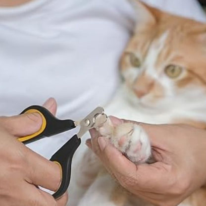 Coupe griffe pour chat - GRIFFACHAT™ - CHATS